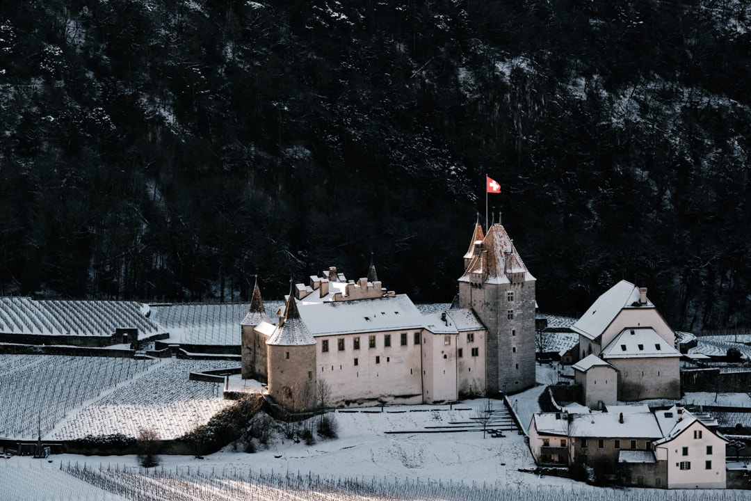 Le château d’Aigle au milieu des vignes